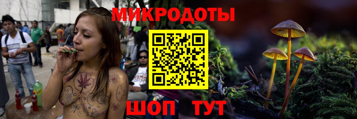 Топки  Псилоцибиновые грибы Psilocybine cubensis  Вход с VPN 